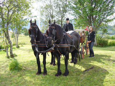 Kjøring med hest og vogn